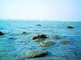 Tropical Paradise: Beaches & Corals - Photo 1