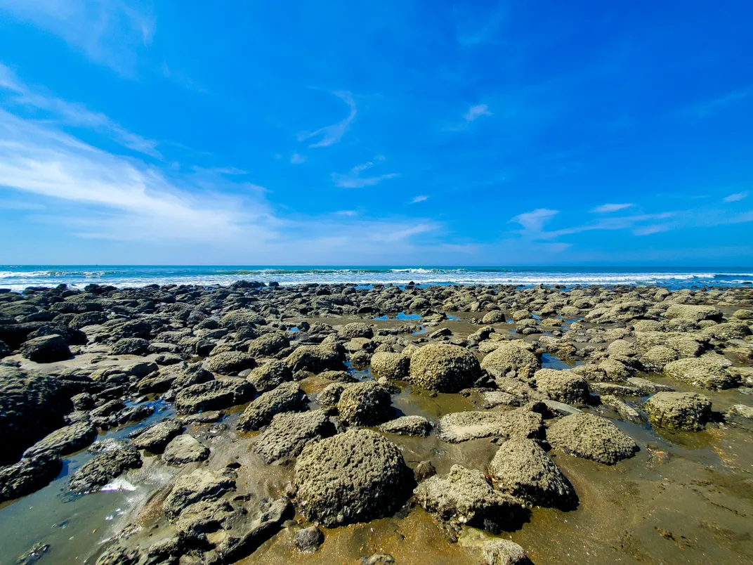 Tropical Paradise: Beaches & Corals - Photo 2