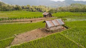 Roots of Bengal: Village Homestay