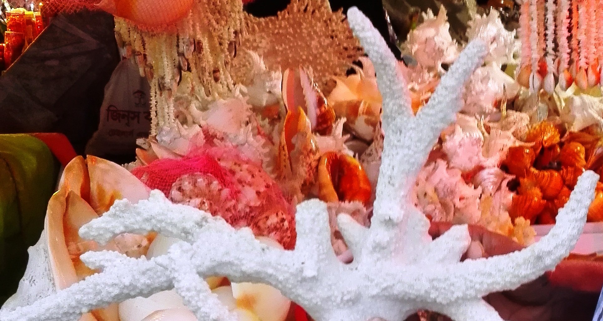 Tropical Paradise: Beaches & Corals - Photo 3
