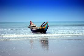 Tropical Paradise: Beaches & Corals - Photo 4